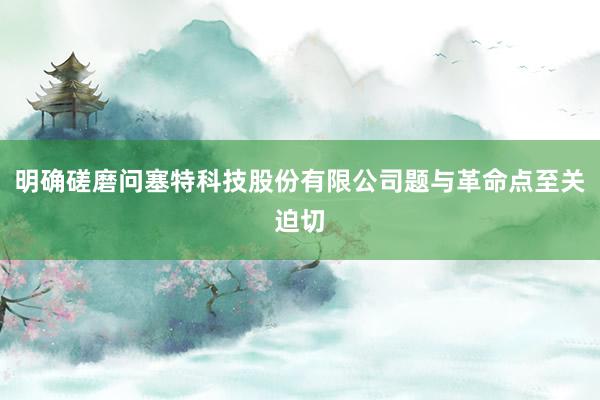 明确磋磨问塞特科技股份有限公司题与革命点至关迫切
